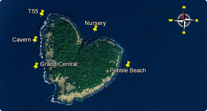 Satellite map of Netrani Island showing dive sites